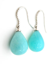 Load image into Gallery viewer, Pacific Earrings