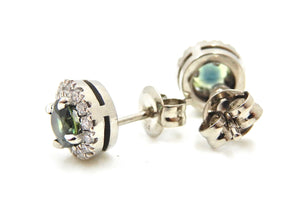 Diamond and Parti Sapphire 18 Carat White Gold Stud Earrings