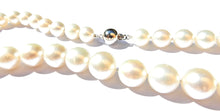 Load image into Gallery viewer, Graduated South Sea Pearl and 9 Carat White Gold Necklace